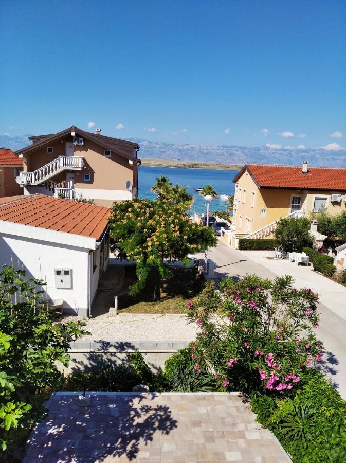 Apartmani Darija Vir Exteriör bild